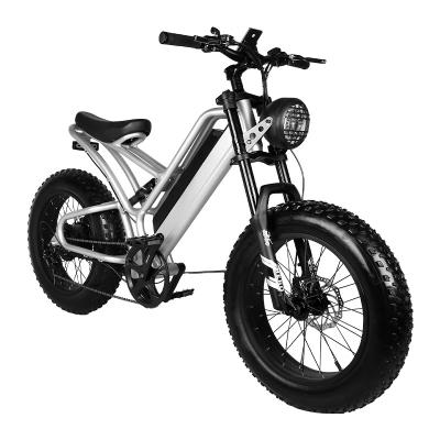 China New Aluminum Alloy Design China Manufacturer Customized 10Ah Electric Bike 48v 500w 1000W Mountain Electric Bicycle for sale