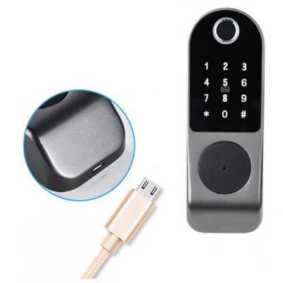 China Widely Application Ultra Slim Biometric Fingerprint Frame Door Lock Biometric Smart GIS Desktop ttlock with Fingerprint Keypad RF Card Key for sale