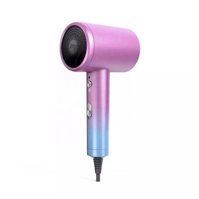 China Liman 220V Ion Professional Salon Foldable Ionic Foldable Negative Electric Portable Hair Dryer for sale