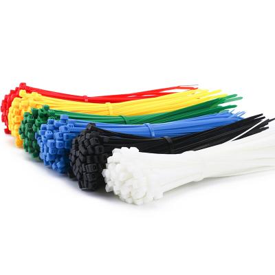 China Customized promotional customized nylon tie size auto lock zip organizer cable ties factory price color nylon tie for sale