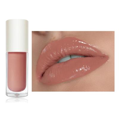 China Free Sample Waterproof Vegan Lip Gloss High Quality Sellers Frosted Squeeze Lip Gloss for sale