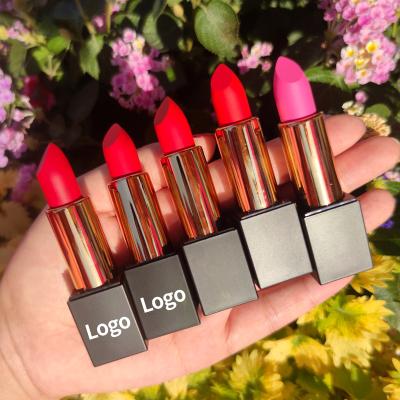 China New Cosmetics Lip Sticks Seller Vegan Private Label Nude Waterproof Solid Lipstick Matte Lipstick for sale