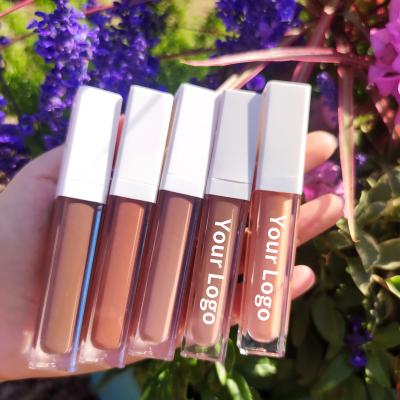 China Private Label Makeup Nude Liquid Lipstick Multi Colors Waterproof Matte Liquid Lipsticks for sale