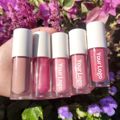 China Free Sample Vegan Waterproof Whole Lip Gloss Vendors Bulk Lip Gloss Lip Gloss for sale