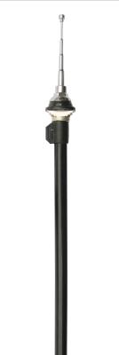 China Telescopic AM FM Car Antenna With White Mast Extend To 1000mm for sale