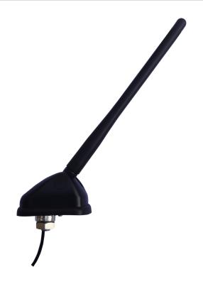 China OEM Fiber Mast AM FM Car Antenna Active Radio Antenna Black Color for sale