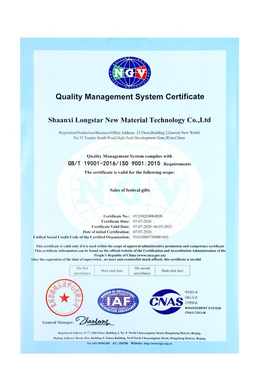 ISO9001 - Shaanxi Longstar New Material Technology Co., Ltd.