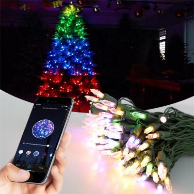 China WiFi RGB Color Changeable Light Smart APP LED Fairy Led String Lights Christmas Decoration Lights for sale