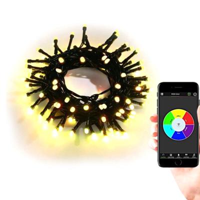 China Mini RGB 20Key PVC Music Control APP Remote Control Led String Lights for sale