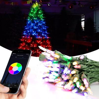 China App Controlled Multicolor LED Lights String Light RGB WIFI LED Colors Controlled Christmas Lights With Green Cable for sale