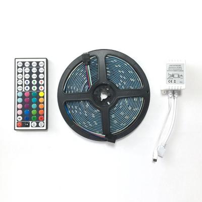 China Flexible LANDSCAPE DIY RGB 5050 LED Light Strip Waterproof LED Strip Lights With 44Key Remote Controller for sale