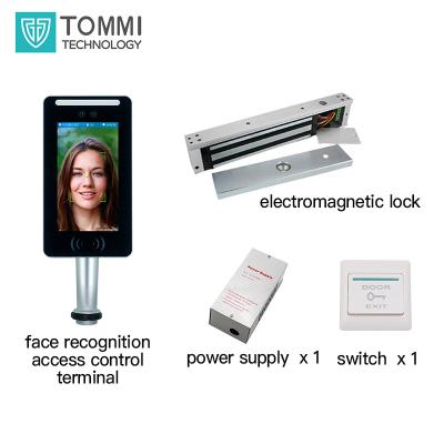 China Single Doors TOMMI One Stop Buying Tommi Magnet Firedoor Door Single Door Magnetic Lock Access Control System for sale