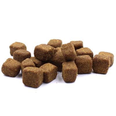 China OEM Sustainable Top Pet Care Products Supplements Skin And Coat Nutrition Chew Bite Treats For Dog for sale