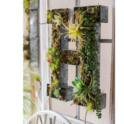 China 26 Alphabets Alphabet Wall Garden Decorative Galvanized Flower Pot Available for sale