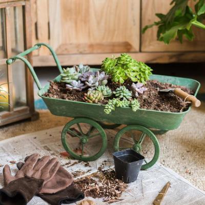 China Eco-friendly outdoor garden model wheel decoration handcraft wheelbarrow planter zic stand for sale