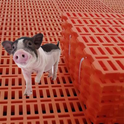 China Easily Assembled Plastic Hog Floor Slats Flooring For Pig Farm for sale