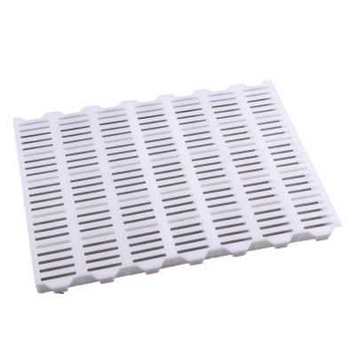 China Easily Assembled Sturdy And Smooth Plastic Slat Flooring For Pig for sale