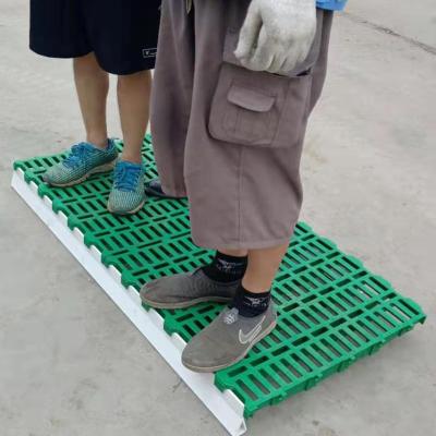 China Easy Assembly Easy Assembled Plastic Slat Flooring For Goat Sheep Farm for sale