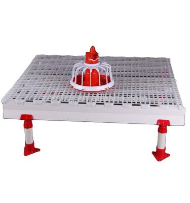 China Eco - Friendly Plastic Poultry Slat Flooring Chicken Farm Poultry Farm for sale