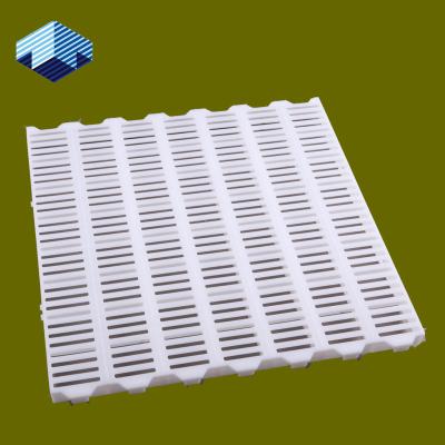 China Livestock Farm Good Quality Popular Easy Wash Cattle Pig Hog Plastic Flooring for sale