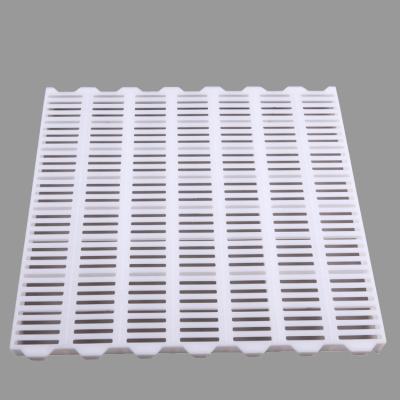 China Pigs Economy Pig Flooring Plastic Slat Flooring For Pig Or Slat Flooring For Pigs for sale