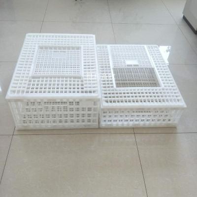 China Easily Collected Quality Guaranteed Poultry Live Chicken Transport Crates Case Plastic Cages for sale