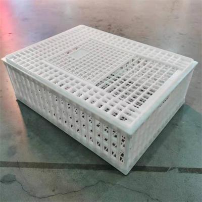 China Good quality easily assembled plastic chicken transport cage crates for sale