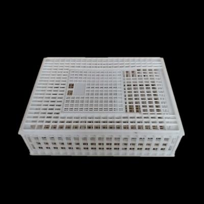 China Factory Direct Sales Easily Assembled Broiler Transport Cage Chicken Transport Crates for sale