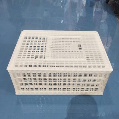 China Good quality easily assembled cages for live chicken quail transport plastic cages for sale