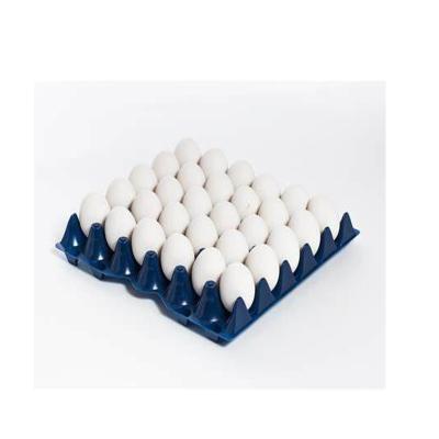 China durable plastic chicken egg tray for sale for sale