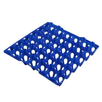 China Recyclable cheap pp material colorful plastic quail egg tray or incubator egg tray for sale