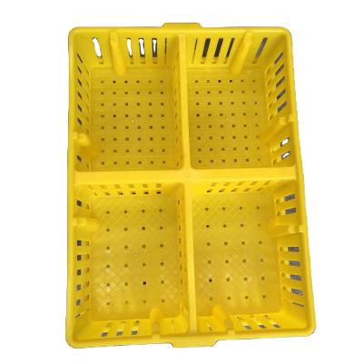 China Free Sample Farms Free Sample Plastic Young Bird Duck Transport Cages for sale