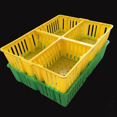 China Farms Farm Cheap Young Chick Bird Carry Box Basket for sale