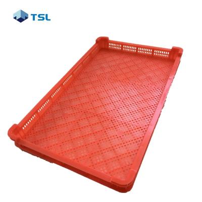 China 100% Food Grade Materials PE Stackable Freezing Plastic Food Drying Trays for sale