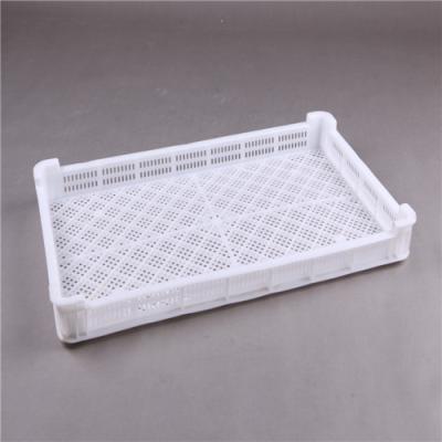 China 100% Food Grade Materials Hot Sale PP/PE Material Frozen Trays Aired Plastic Stackable Drying Tray for sale