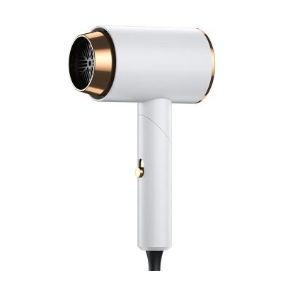 China Ionic New design salon hooded white hair dryer professional dc hair dryer with ion/concentrator/diffuser for sale