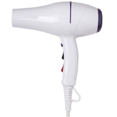 China Ionic Private label OEM ODM high quality professional hair dryer is the best salon hair dryer and styler for sale