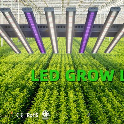 China Starting From Seed Grow Light 2021 Best Grow Light LM 301b 1000 Watt Led Plant Led Growing Light for sale