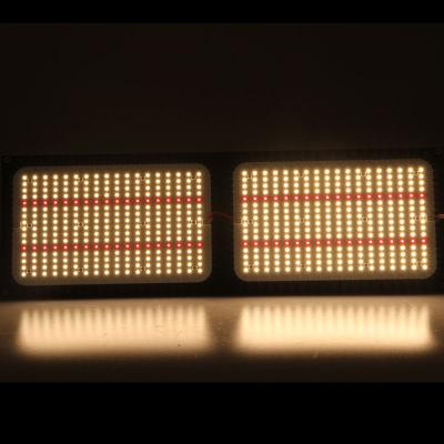 China Seed starting led to grow light 240W lm301B with 660nm red led panel for sale