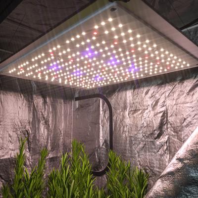 China Seed Seed Growing Top Survey LM301B Full Spectrum Plants Lamp SF-1000 LED Grow Light Hydroponic For Grow Tent for sale