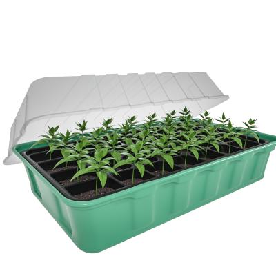 China Eco-friendly Hot Selling Plant Plant Plastic Germination Tray Seed Tray With Lid for sale