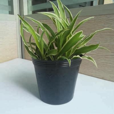 China Durable Injection Molded 0.5L HDPE Plastic Flower Pot Black 9cm Top Diameter for sale