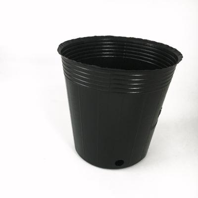 Cina vasi da fiori di plastica della generazione alta di 9cm 6cm Dia Recycled Nursery Pots in vendita