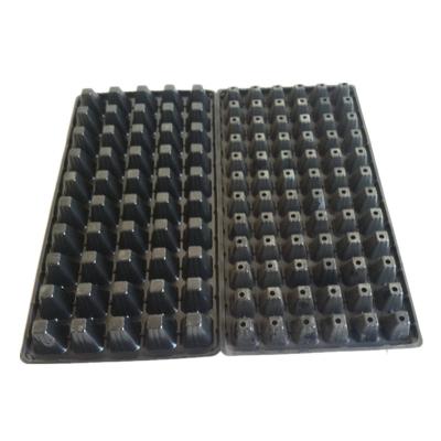 China Zaad die van het 105 Gaten het Rechthoekige Polystyreen Tray Deep Cell Plug Trays 540X280mm opheffen Te koop