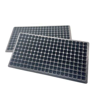 China Prägungsadenium sät Tray Plastic Seedling Tray Eco-freundliches bequemes zu verkaufen