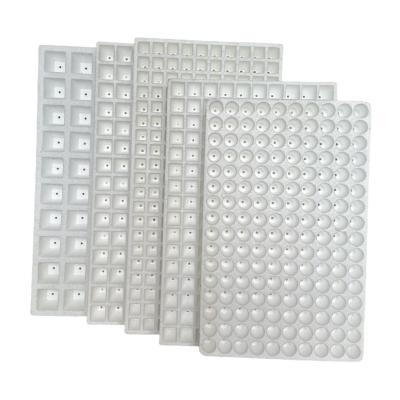 China Foam Seedling Tray 50 Holes , 120 Holes , 160 Holes , 200 Holes EPS Material Customization for sale