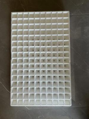 China Foam seedling tray tray Vegetable seedling tray hydroponic tray tray White foam traypepper seedling tray wholesale floating foam board water planting seedling tray thickened fruit and vegetable pepper for sale