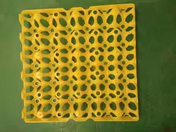 China Colorful Yellow Plastic Blister Thermoformed Vacuum Plate Egg Packaging Transport 30 Egg Packaging for sale