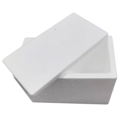 China Cold chain transportation foam box custom insulation box custom fragile goods packaging box for sale