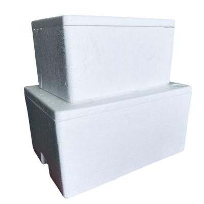 China EPS incubator cold chain transport box foam box customization for sale